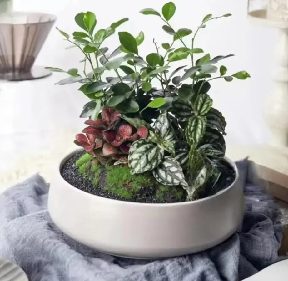 Handmade Cement Pot – 18cm-Anastasi Gifts