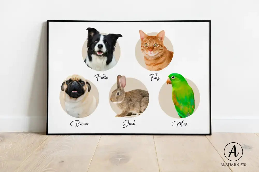 Modern Pet Portraits - Framed