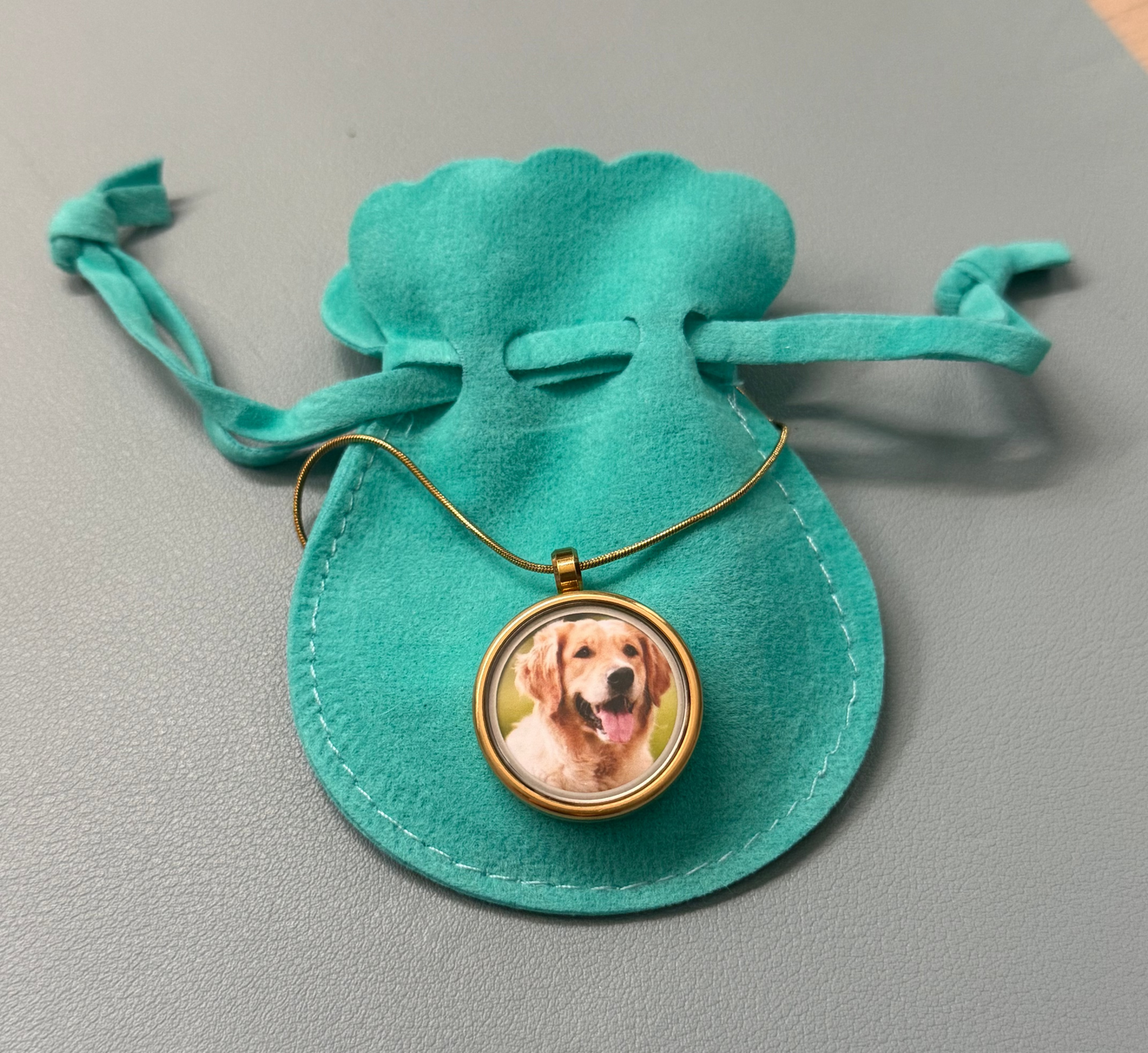 Personalized Pet Keepsake Pendant – Photo & Hair/Ash Capsule