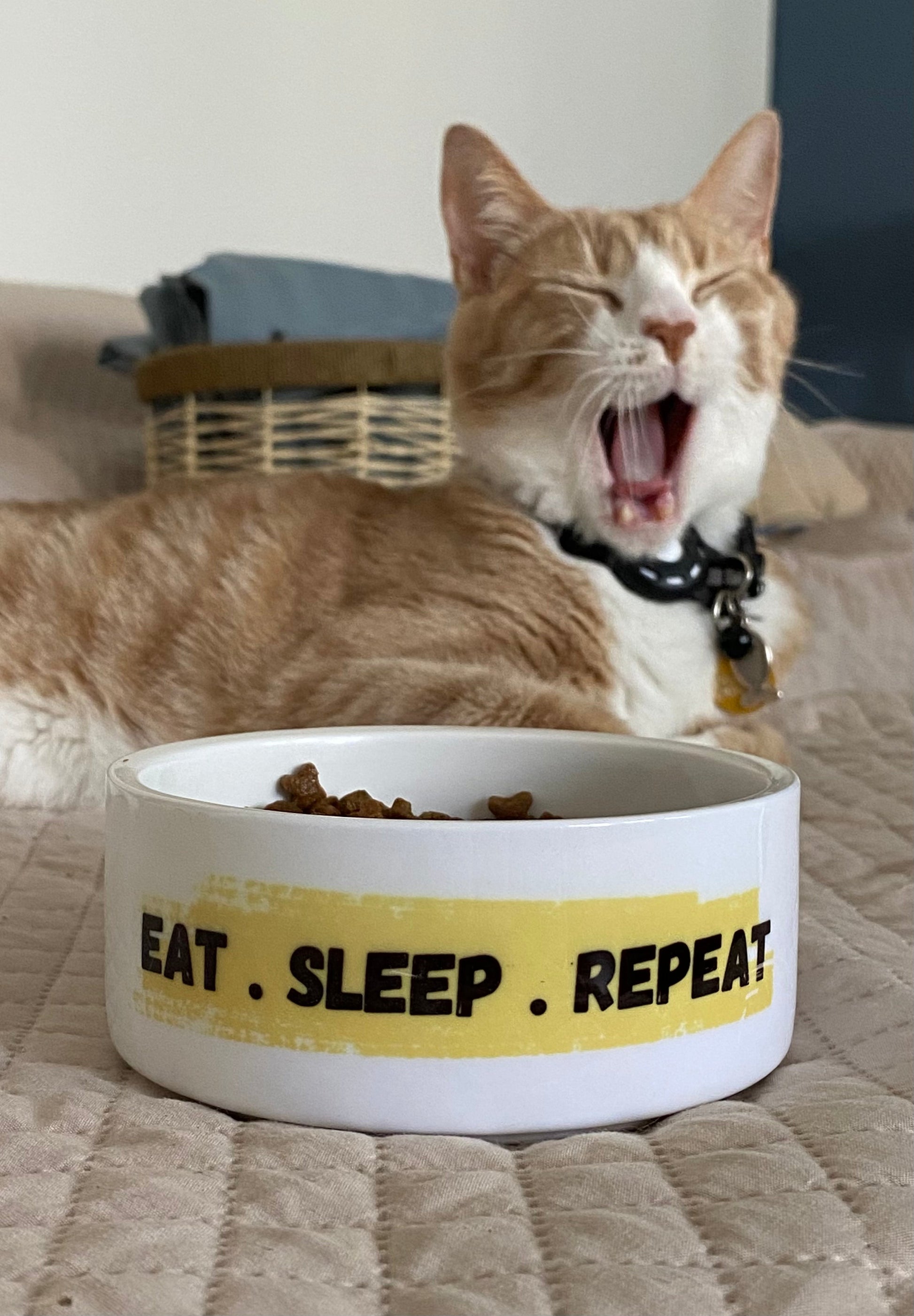 Pet Bowl - Personalised Text-Anastasi Gifts
