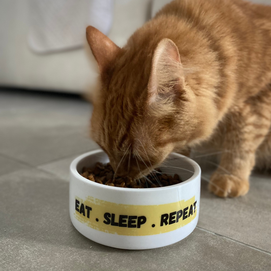 Pet Bowl - Personalised Text-Anastasi Gifts