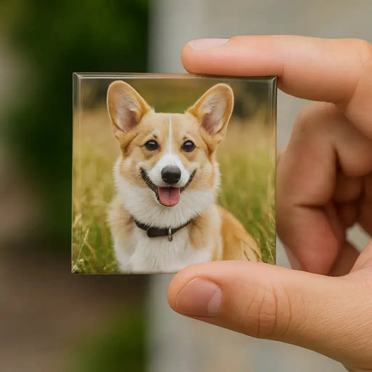 Personalized Pet Photo Magnets Anastasi Gifts